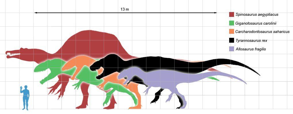 طول دایناسورها را در نظر بگیرید