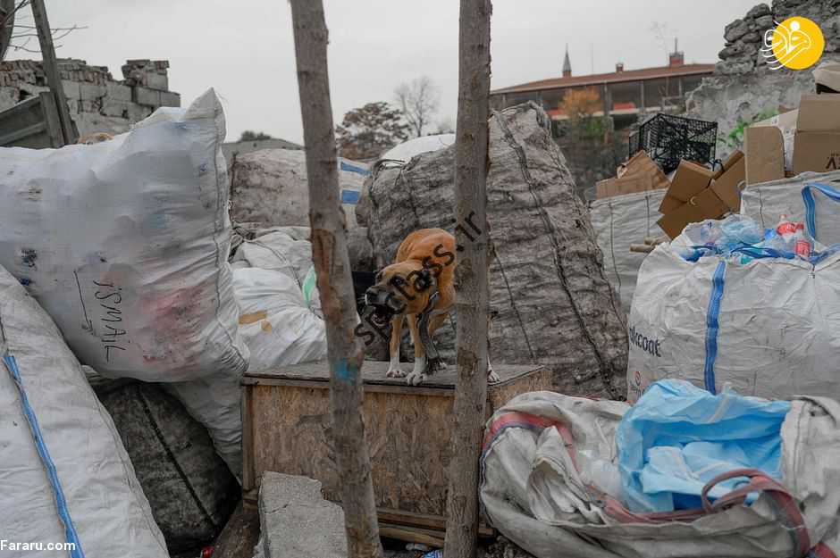 (فیلم) زباله دانی پناهجویان در استانبول