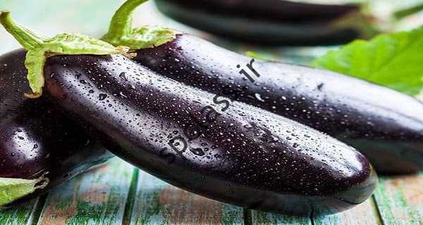 این یک نمونه از یک پسر بد، یک پسر و یک پسر است بادمجان